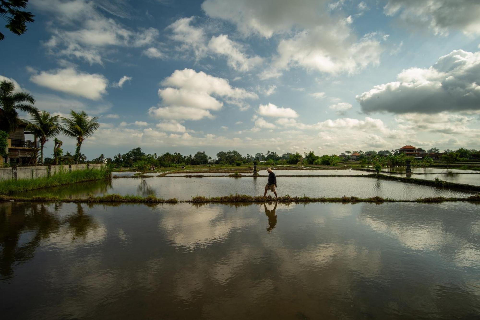 Kubu Sari Ubud Exteriör bild